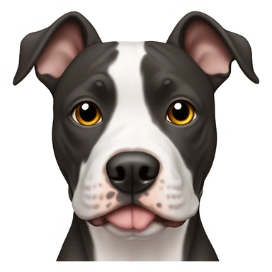 American pitbull terrier black and white brown eyes sticker