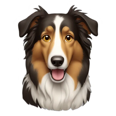 Collie dog sticker