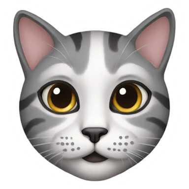 Cat with make up sticker