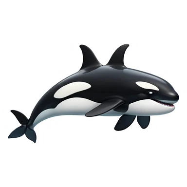 orca whale sticker