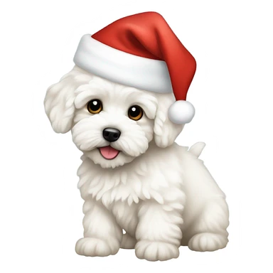 White Maltipoo puppy wearing a santa hat sticker
