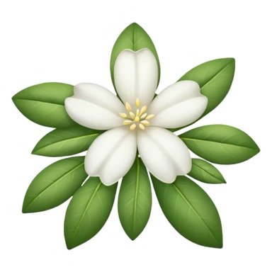 White jasmine flower emoji no leaf sticker