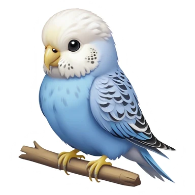 budgie, light grey with a white head sticker