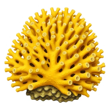 yellow Corals sticker