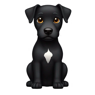 A black Patterdale Terrier dog with a white patch on its chest and brown eyes. sticker