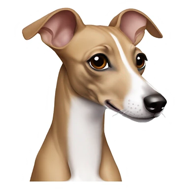 Fawn Italian greyhound  sticker