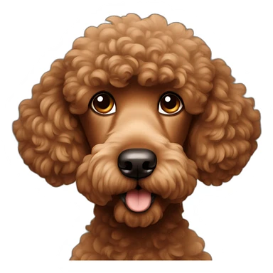 Shy brown poodle sticker