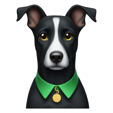 black dog with a white spot on the chest and a green collar sticker
