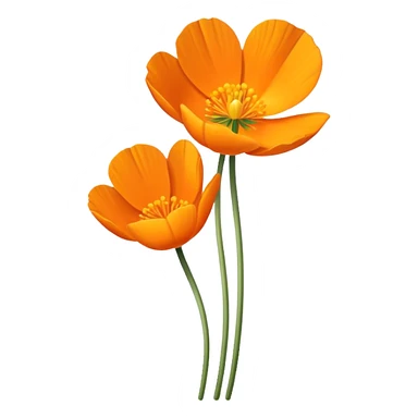 single Eschscholzia californica, straight stem sticker