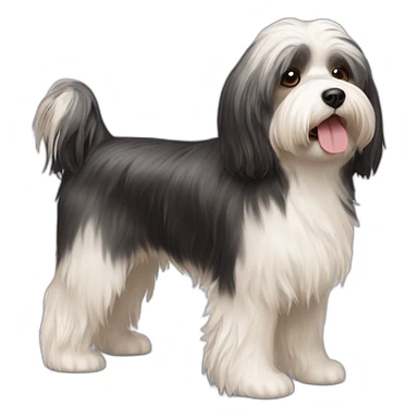 Dog havanese full height sticker