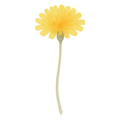 dandelion flower, vibrant yellow, fine stem sticker