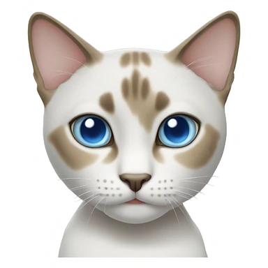 Thai cat with blue eyes sticker