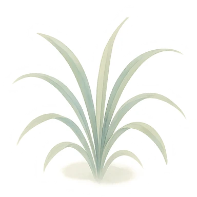 a small cluster of spider plant leaves, watercolor style, delicate brush strokes, soft colors sticker