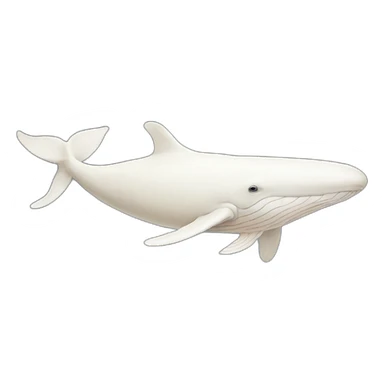 Albino striped whale sticker