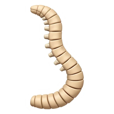 spine emoji showing scoliosis sticker