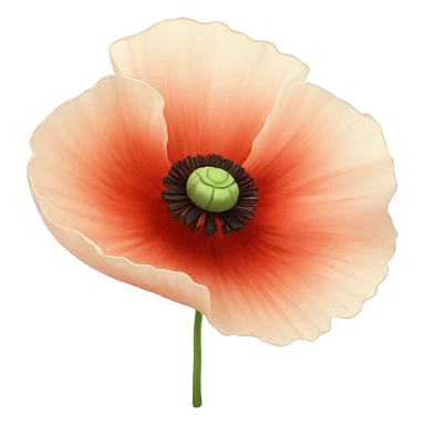 Poppy flower sticker