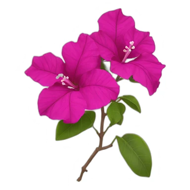 Single bougainvillea flower sticker