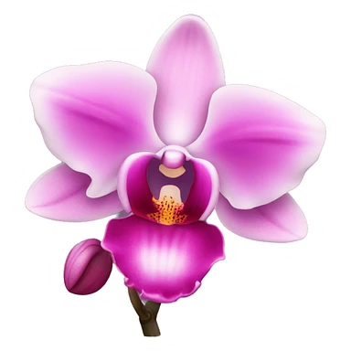 pink orchid sticker