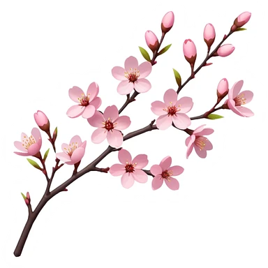 Sakura cherry blossom tree branch  sticker