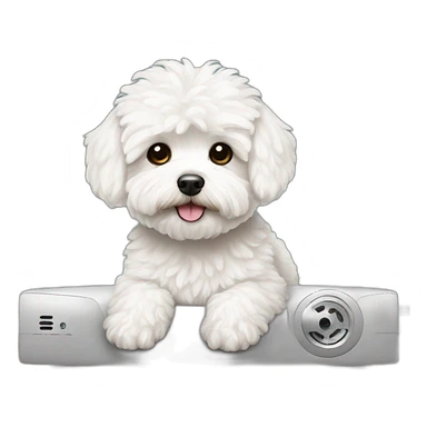 white maltipoo watching tv sticker