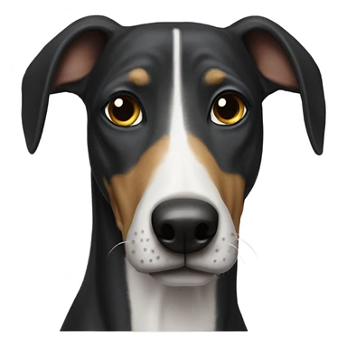 Perro galgo negro sticker