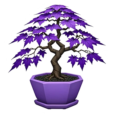  small short cascading black violet bonsai pot plant purple lace-leaves maple tree with triangular angular multi-hexagon faceted asymmetrical originally shaped pot sticker