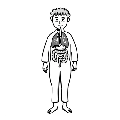 Human body diagram with main organs labeled sticker