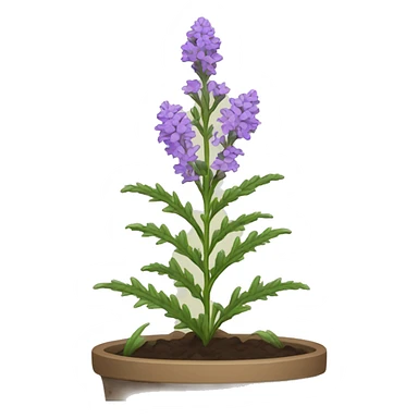 vervain plant sticker
