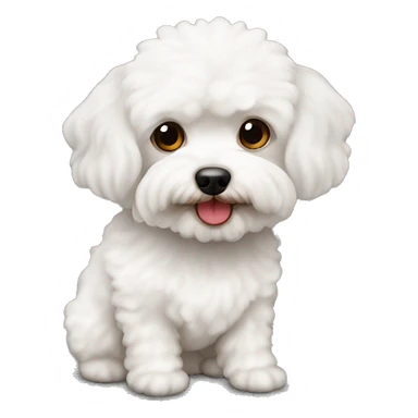 white maltipoo dog with two red brownish ears sticker