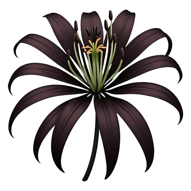 goth black spider lily sticker