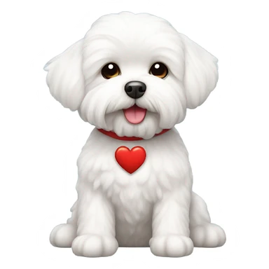 Maltese Bichon with a red heart sticker