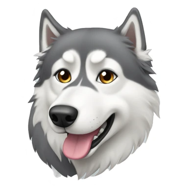 Gray and white long hair Husky sticker