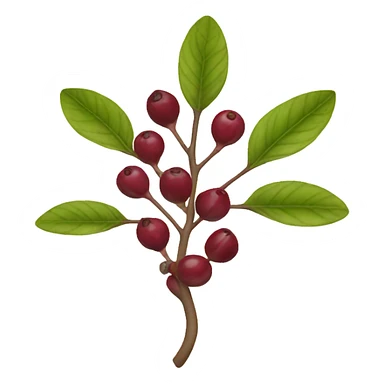 serviceberry sticker