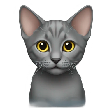 Korat kitten sticker