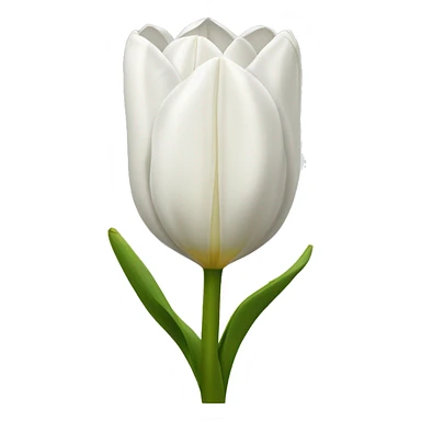 White tulipanes sticker