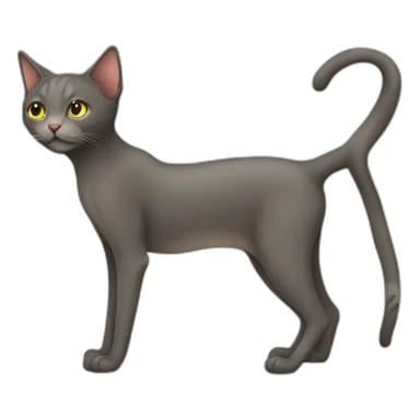 skinny cat sticker