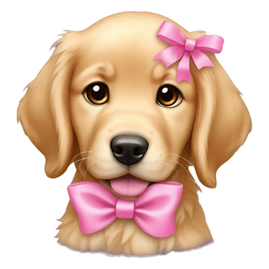 female golden retriever puppy with pink bows above her ears sticker