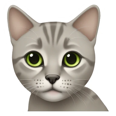 British short hair beige and grey with green eyes sticker