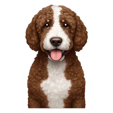 Brown Spanish water dog with white spot on chest  sticker