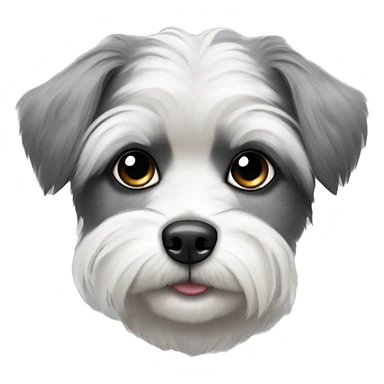 White shitzu crossbreed with gray spitz with black ears and with gray higlights in them black nouse and black whiskers and black eyes sticker