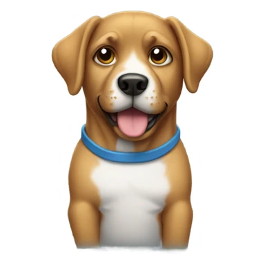 dog wearing  at shirt sticker