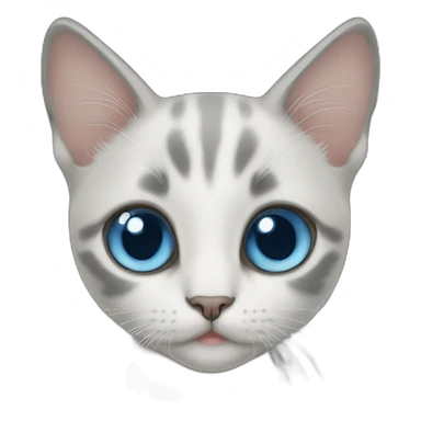 blue eye kitten sticker