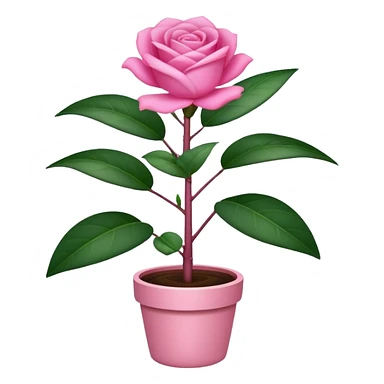 singonio rosa sticker