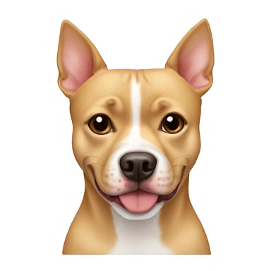 Pitbull mixed with a Pomeranian and chihuahua , blonde red and white, short legs long body sticker