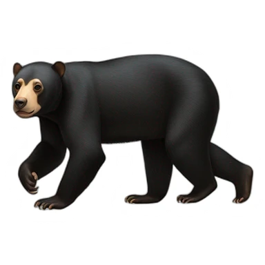 Malayan Sun Bear Walking sticker