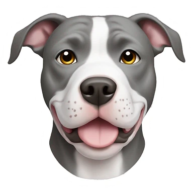Grey pitbull with white chest sticker