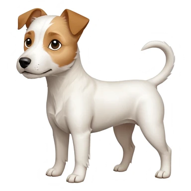 a full body white parson russell looking dog the size of a kelpie with light brown ears and a light brown patch on one eye and a large snout sticker