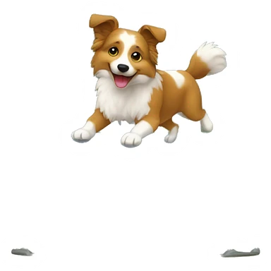 un berger austrilien sur un trampoline sticker