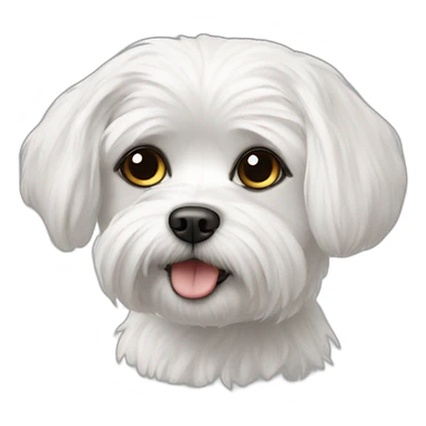 Maltese with black eyes sticker