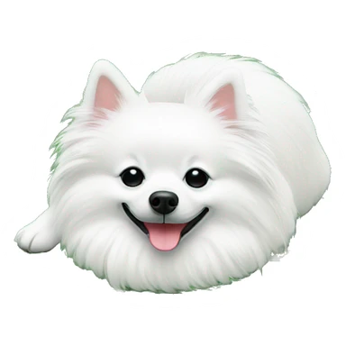 White german spitz sleep in the grass sticker